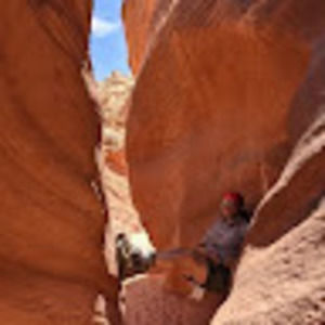 Meet your Posher, Michael